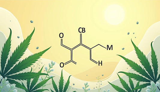 KANABIDIOL MAFRENCHWEED LIGHT