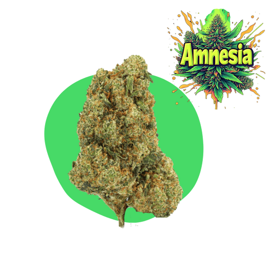 Amnezija CBD